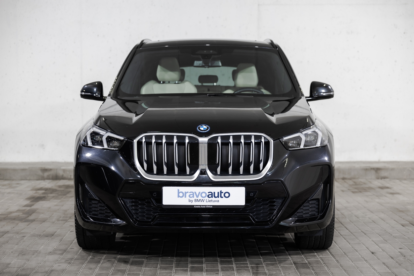 BMW X1 xDrive30e