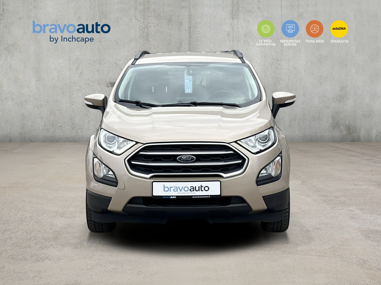 Ford EcoSport Business
