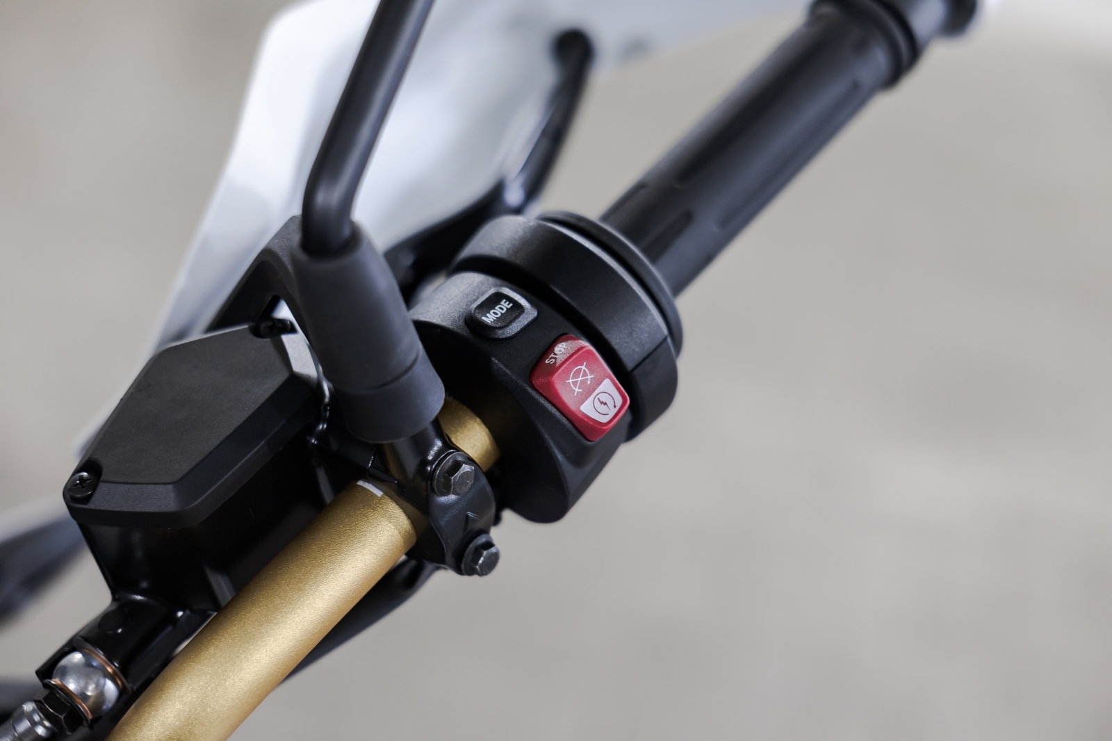BMW (moto) F 450 GS