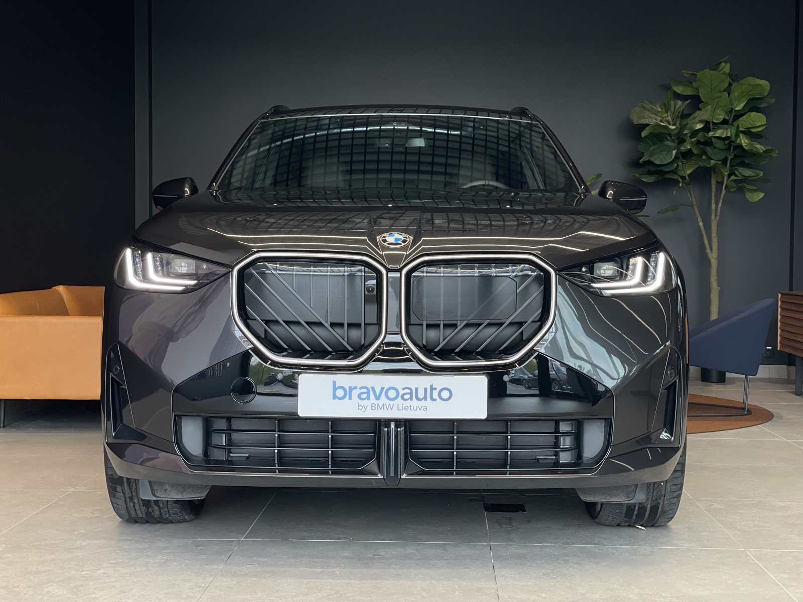 BMW X3 xDrive30e